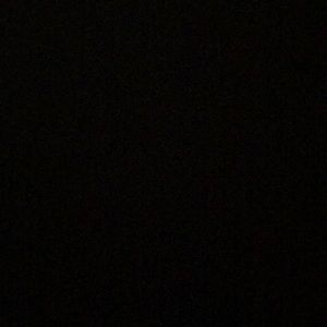 Meet your Posher, Bernice